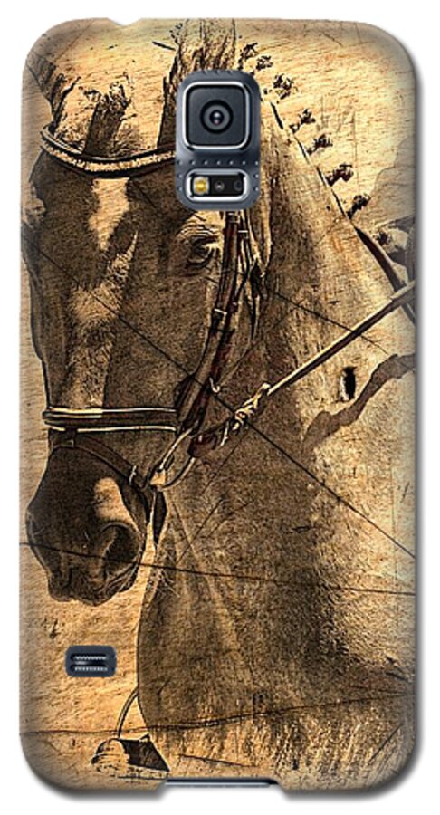 Horse Galaxy S5 Case featuring the photograph Equestrian by Clare Bevan