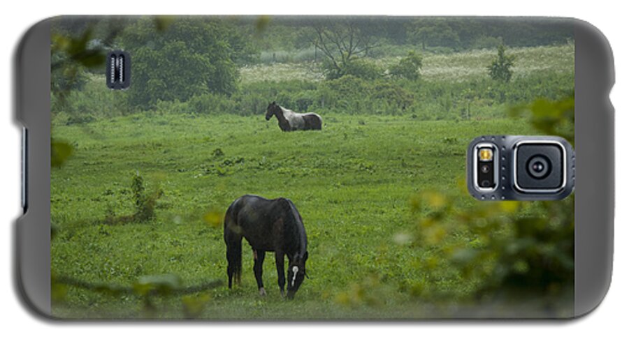 Agriculture Galaxy S5 Case featuring the photograph Equine buddies by Brian Green