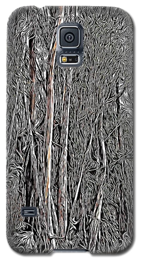 Eucalyptus Galaxy S5 Case featuring the photograph Eucalyptus by Bridgette Gomes
