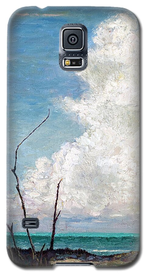 Evening Cloud Galaxy S5 Case featuring the painting Evening Cloud by Ritchie Eyma