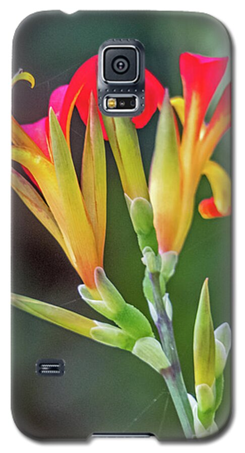 Flowers Galaxy S5 Case featuring the photograph Exotic Flowers by Kate Brown