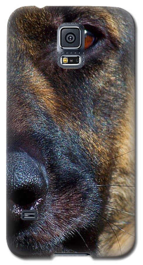 Dog Galaxy S5 Case featuring the photograph Eye of the Shepherd by Jai Johnson