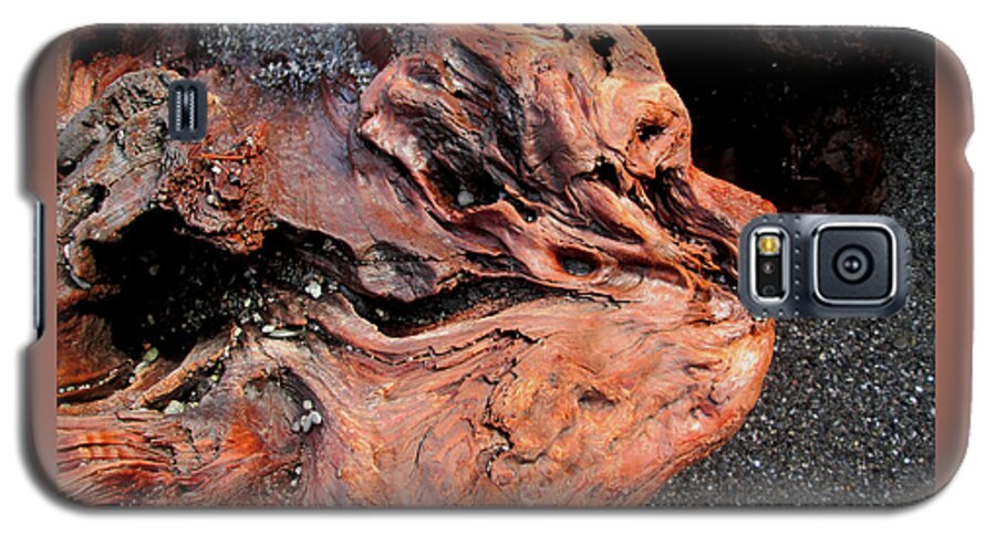Redwood Galaxy S5 Case featuring the photograph Faces in the Wood #5 - Lion King by Larry Bacon