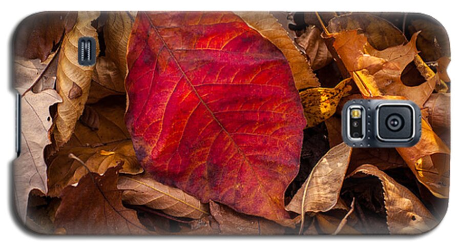 Leaf Galaxy S5 Case featuring the photograph Fading Color by Jeff Phillippi
