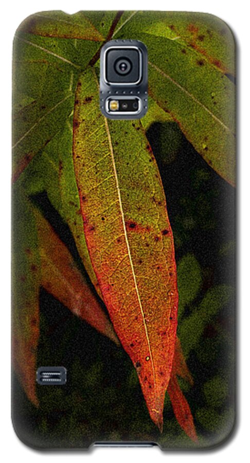 Wildflower Galaxy S5 Case featuring the photograph Fall Fireweed 1 by Fred Denner