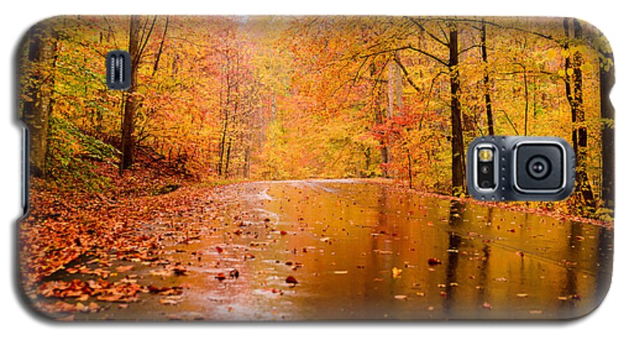 Bernhiem Arboretum And Research Forest Galaxy S5 Case featuring the photograph Fall Holidays by Mary Timman