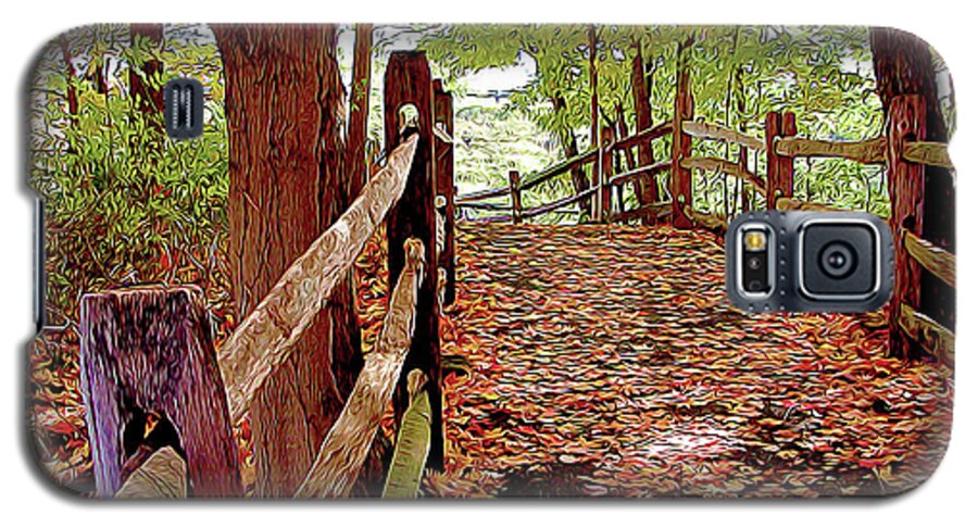 Nature Galaxy S5 Case featuring the photograph Fall Pathway by Linda Carruth