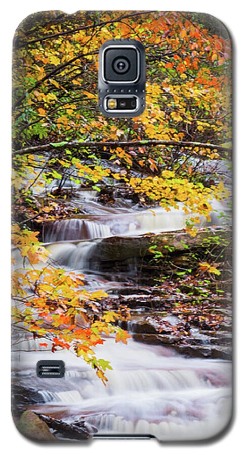 Waterfall Galaxy S5 Case featuring the photograph Farmed with Golden Colors by Parker Cunningham