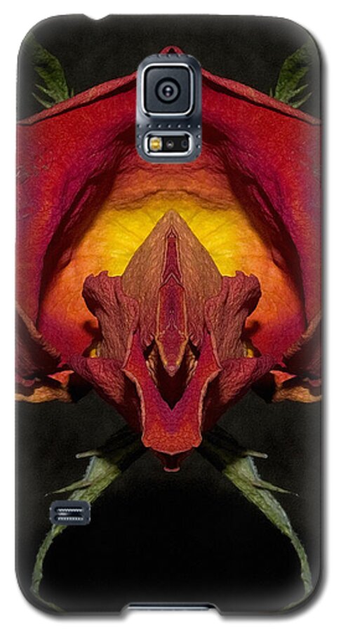 Abstract Galaxy S5 Case featuring the photograph Feap of Laith by WB Johnston