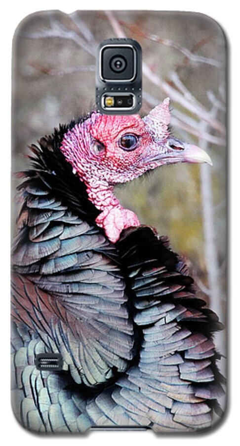 Female Wild Turkey Galaxy S5 Case featuring the photograph Female Wild Turkey by Alyce Taylor