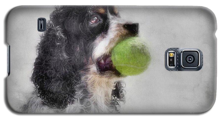 Cocker Spaniel Galaxy S5 Case featuring the photograph Fetching Cocker Spaniel by Benanne Stiens