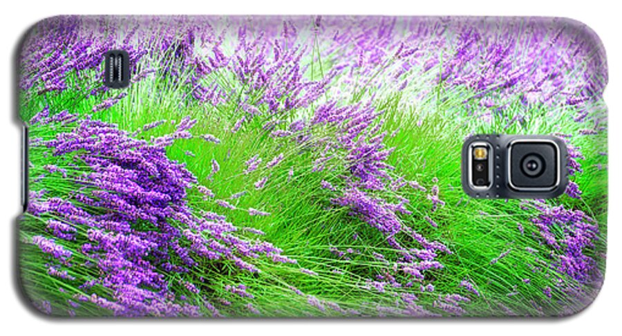 Lavender Galaxy S5 Case featuring the photograph Field of Dreams by Dee Browning