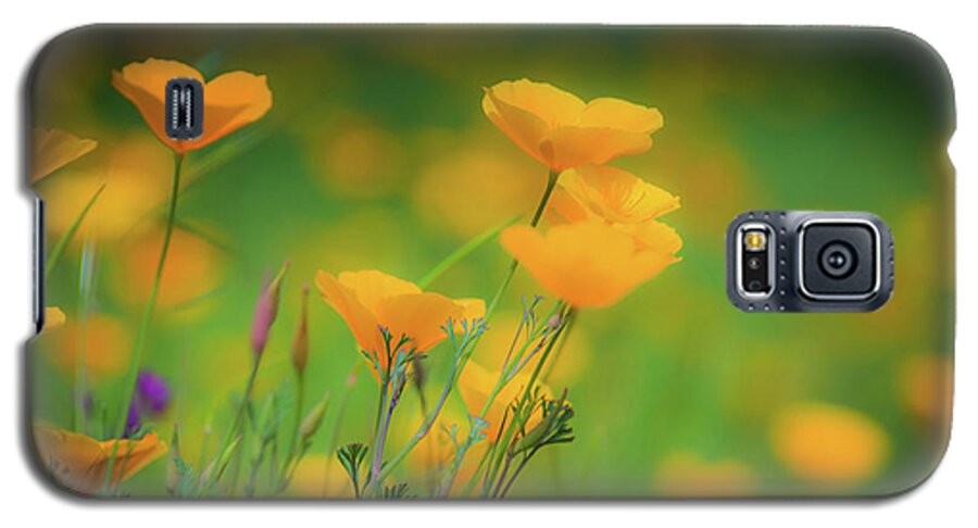 Poppies Galaxy S5 Case featuring the photograph Field of Poppies by Steph Gabler