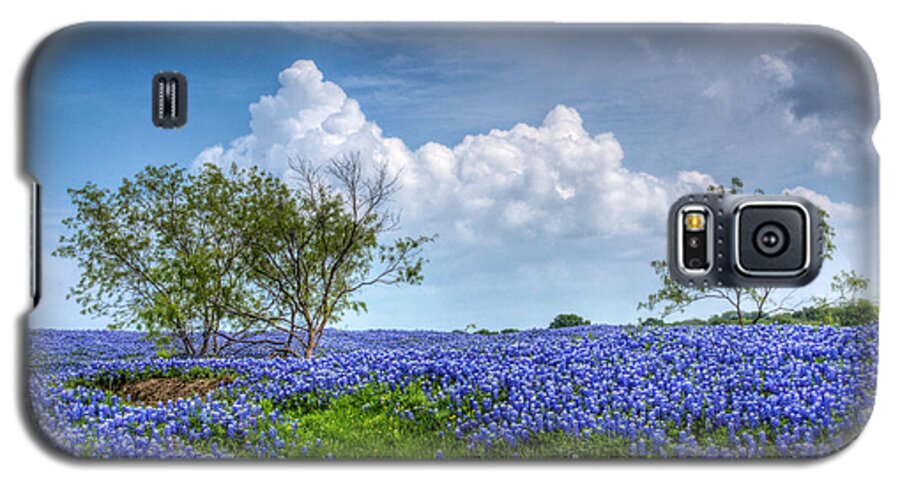 Bloom Galaxy S5 Case featuring the photograph Field of Texas Bluebonnets by David and Carol Kelly