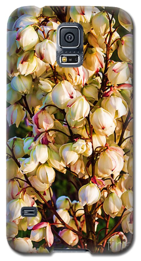 Plant Galaxy S5 Case featuring the photograph Filled with Joy Floral Bunch by Roberta Byram
