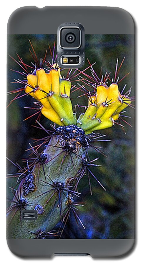 Arizona Galaxy S5 Case featuring the photograph First Signs of Spring on the Sonoran Desert by Roger Passman