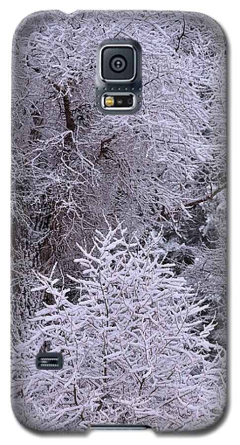 Snow Galaxy S5 Case featuring the photograph First Snow I by Ron Cline