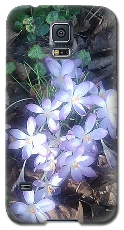 Spring Galaxy S5 Case featuring the photograph First Spring Treasures 2017 by Julia Woodman