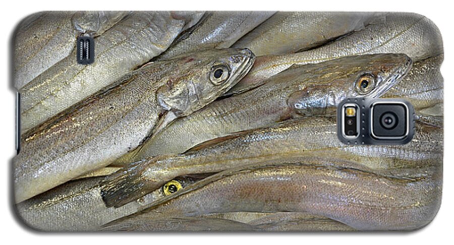 Fish Galaxy S5 Case featuring the photograph Fish Eyes by Joe Bonita