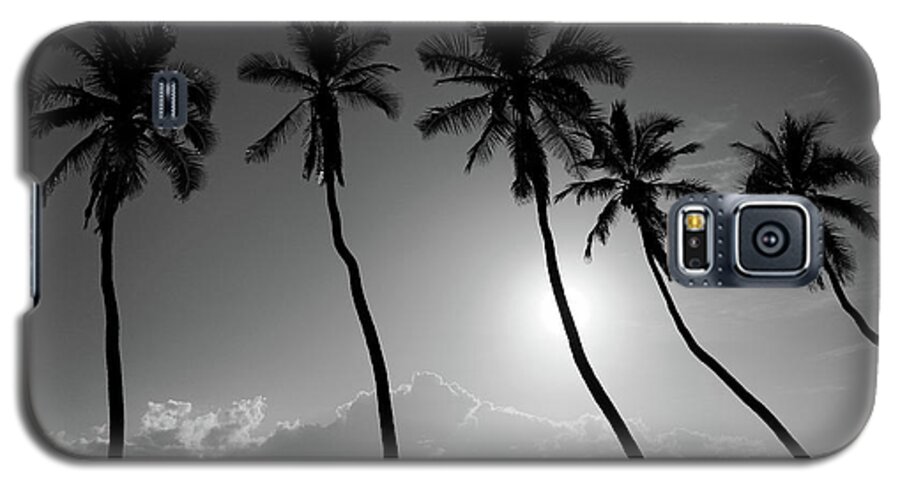 Five Galaxy S5 Case featuring the photograph Five coconut palms by Pierre Leclerc Photography