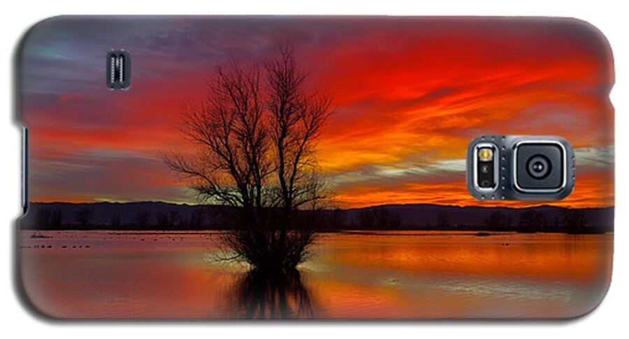 Red Galaxy S5 Case featuring the photograph Flaming Reflections by Kathleen Bishop