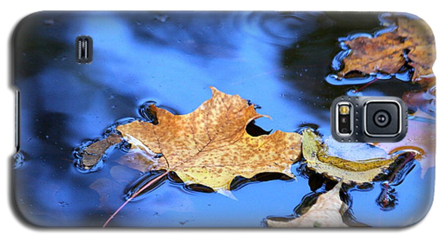 Autumn Galaxy S5 Case featuring the photograph Floating on the reflected sky by Doris Potter