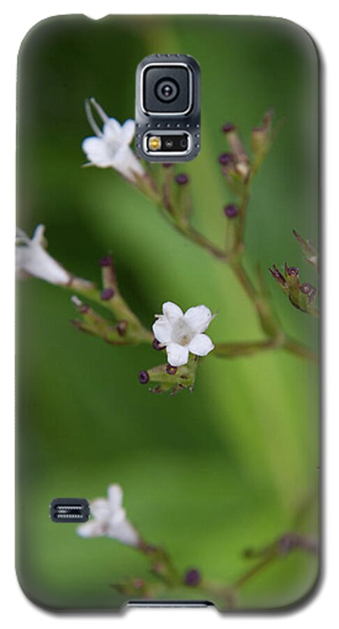 Nature Galaxy S5 Case featuring the photograph Flower 1 by Mati Krimerman