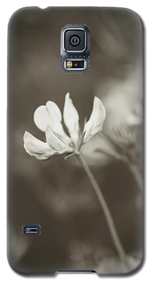 Nature Galaxy S5 Case featuring the photograph Flower 3 by Mati Krimerman