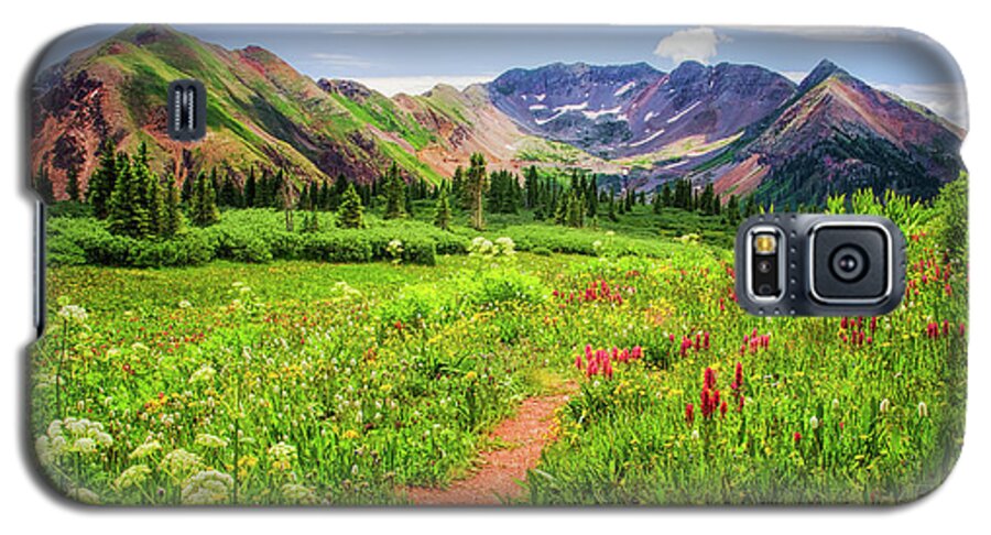 Wildflowers Galaxy S5 Case featuring the photograph Flower Walk by Priscilla Burgers