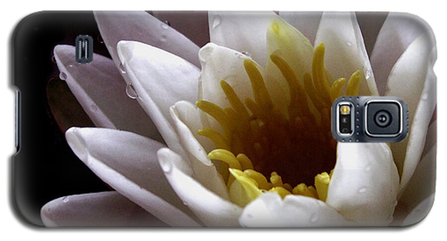 Waterlily Galaxy S5 Case featuring the photograph Flower Waterlily by Nancy Griswold