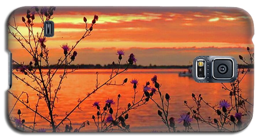 Tibbetts Point Galaxy S5 Case featuring the photograph Flowers along the shore at Tibbetts Point by Dennis McCarthy