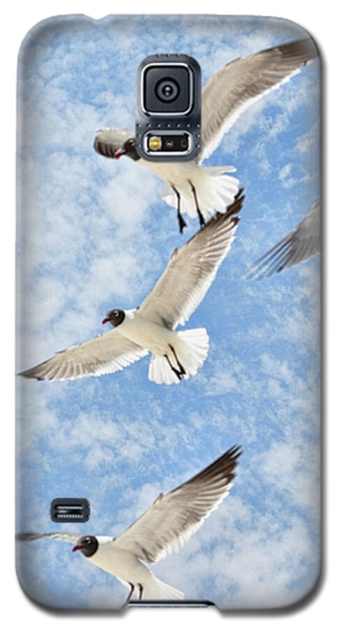 Sea Gulls Galaxy S5 Case featuring the photograph Flying High by Jan Amiss Photography