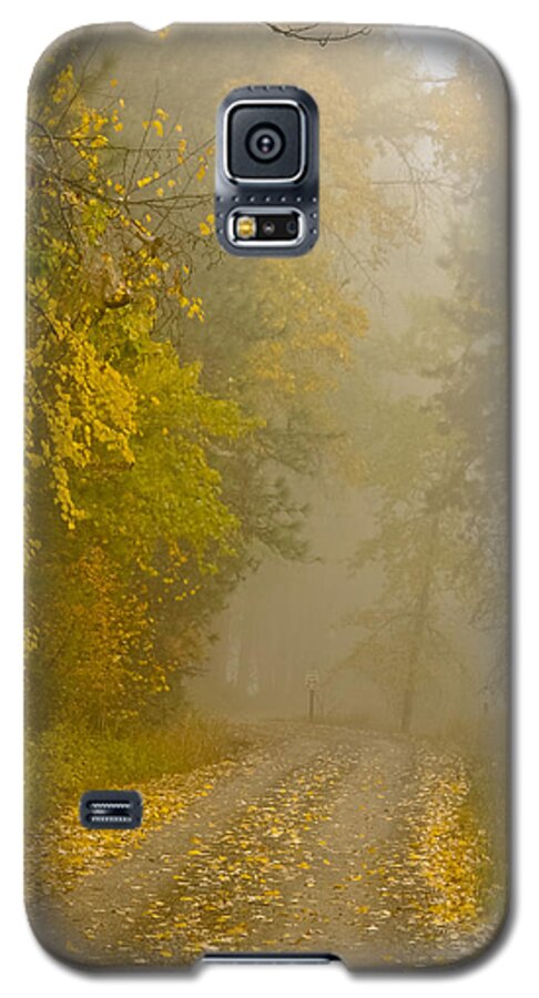 Autumn Color Galaxy S5 Case featuring the photograph Foggy Autumn Morn by Albert Seger