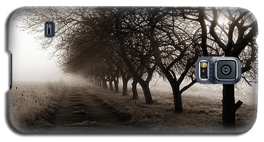 Foggy Galaxy S5 Case featuring the photograph Foggy Lane by Dick Pratt