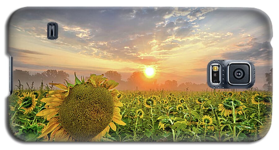Flower Galaxy S5 Case featuring the photograph Foggy Yellow Fields by Bonfire Photography