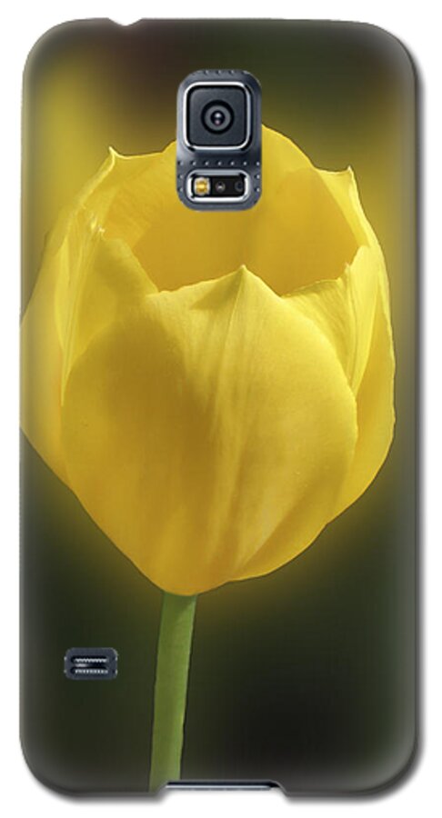 Mom Galaxy S5 Case featuring the photograph For Mom too by Richard Stedman