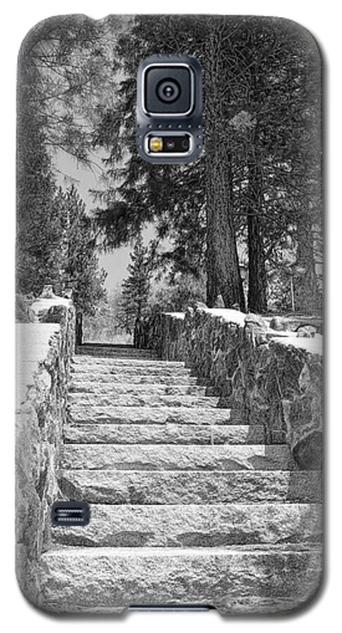 Forest Stairway Galaxy S5 Case featuring the photograph Forest Stairway by Glenn McCarthy Art and Photography