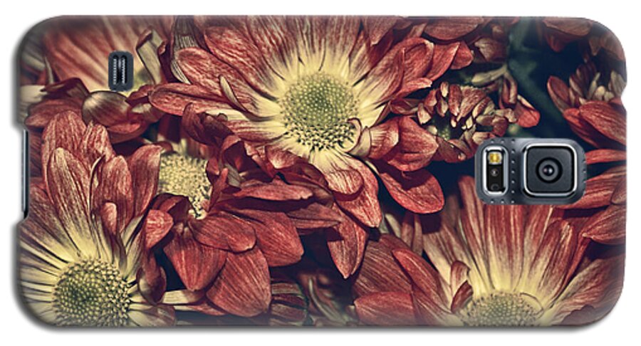 Daisies Galaxy S5 Case featuring the photograph Foulee de petales - 04b by Variance Collections