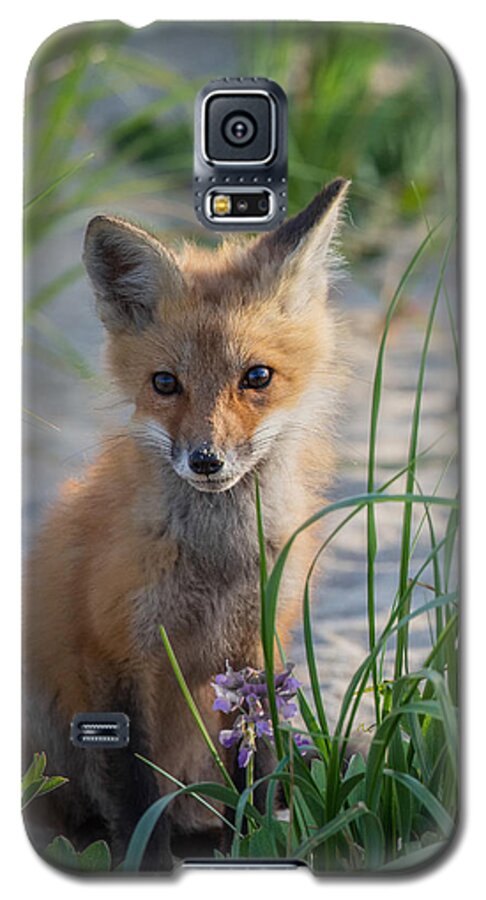 Red Fox Galaxy S5 Case featuring the photograph Fox Kit by Bill Wakeley