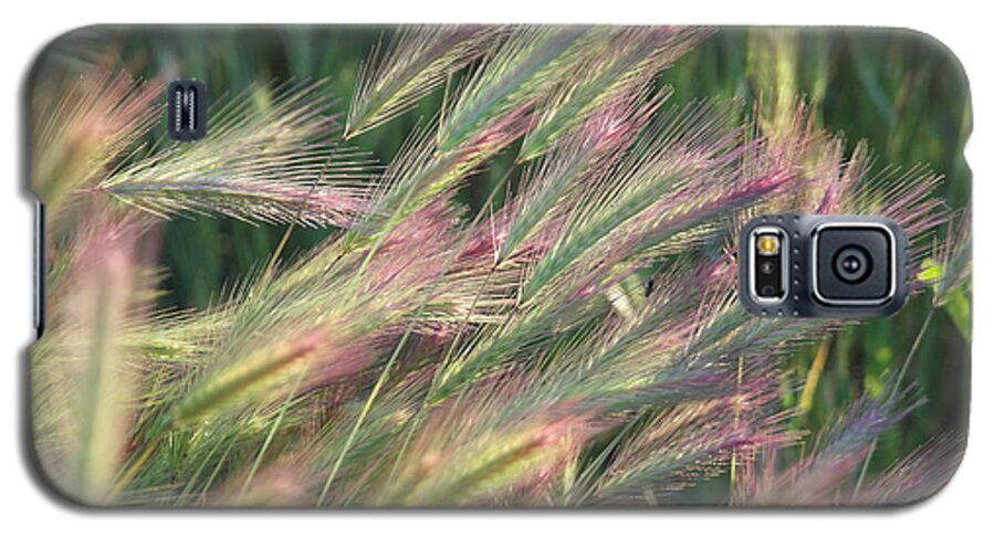 Foxtails Galaxy S5 Case featuring the photograph Foxtails in Spring by Michele Myers