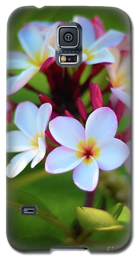 Photograph Galaxy S5 Case featuring the photograph Fragrant Sunset by Kelly Wade