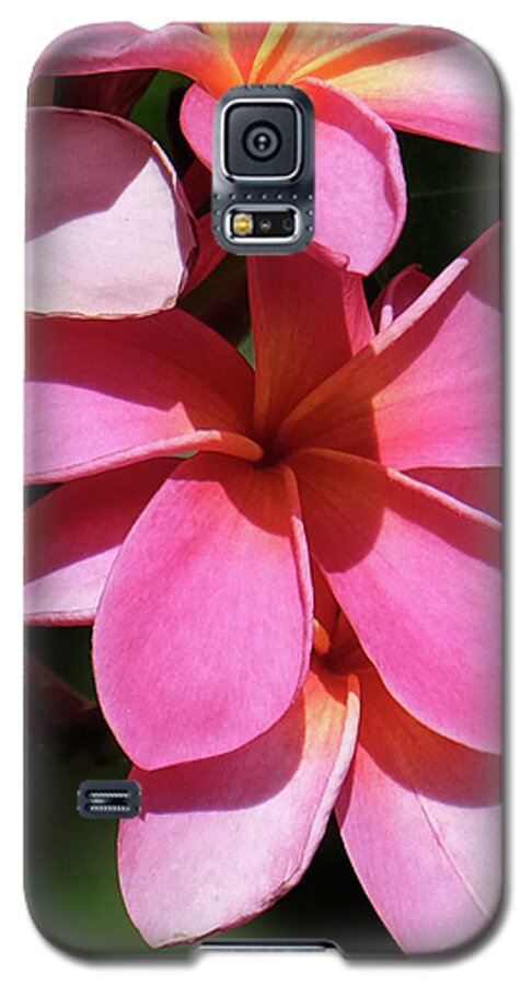 Hawaii Galaxy S5 Case featuring the photograph Frangipani by Mini Arora