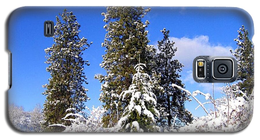 #freshwintersolitude Galaxy S5 Case featuring the photograph Fresh Winter Solitude by Will Borden