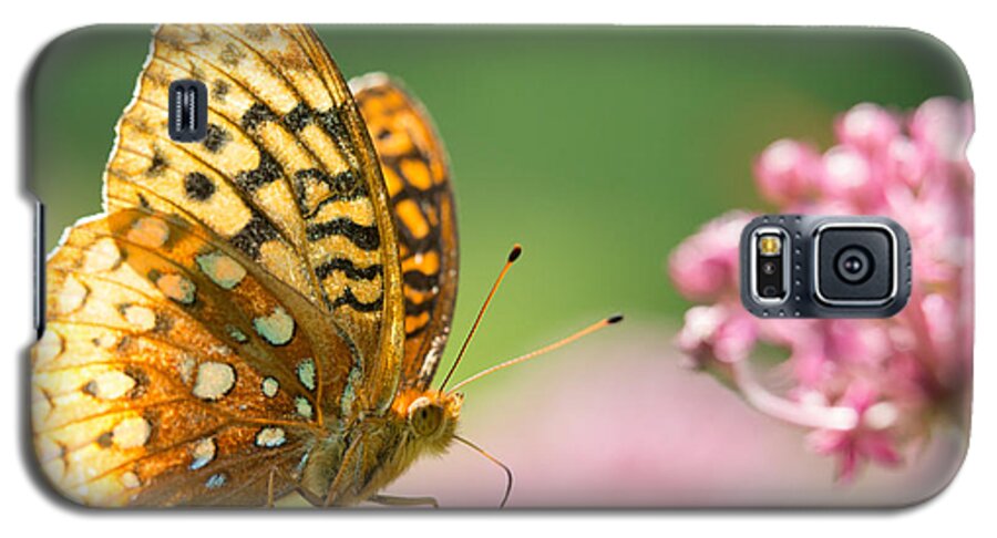 Butterfly Galaxy S5 Case featuring the photograph Fritillary by Brian Hale