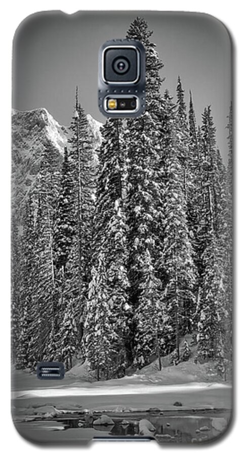 Tree Galaxy S5 Case featuring the photograph Front and centre by David Hillier