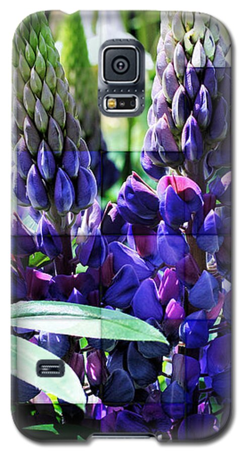 Lupine Galaxy S5 Case featuring the photograph Frosted Purple Lupines by Smilin Eyes Treasures