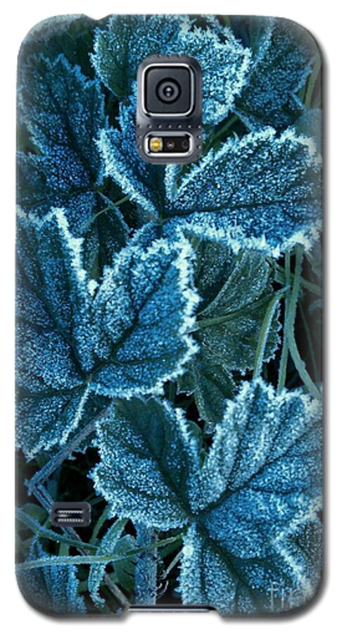 Winter Morning Galaxy S5 Case featuring the photograph Frosty Ivy by Garnett Jaeger