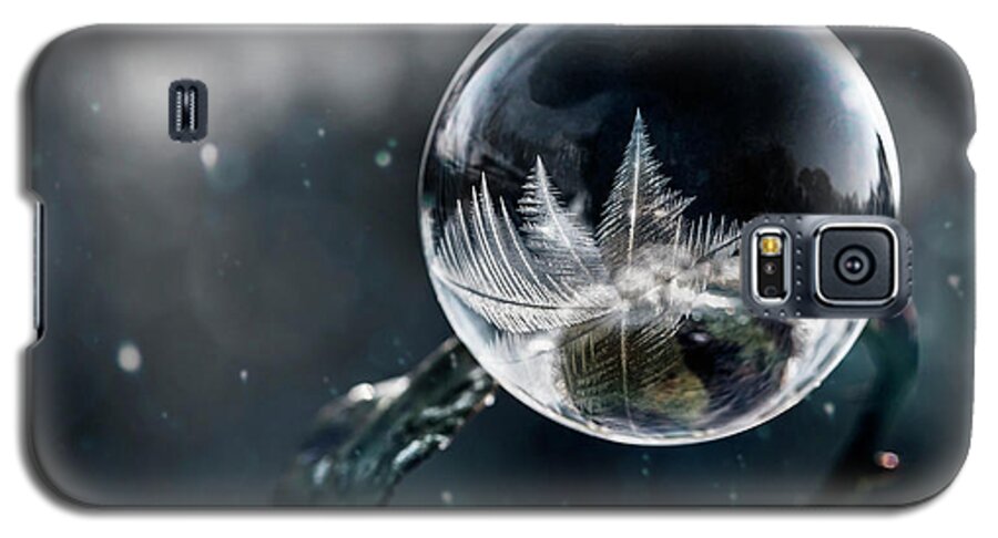 Ball Galaxy S5 Case featuring the photograph Frozen world by Jaroslaw Blaminsky