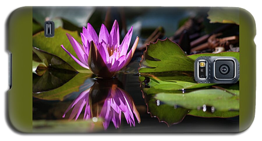 Photograph Galaxy S5 Case featuring the photograph Fuchsia Dreams by Suzanne Gaff