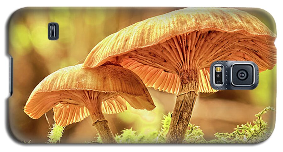 Fungi Galaxy S5 Case featuring the photograph Fungi Beauty by Catherine Reading
